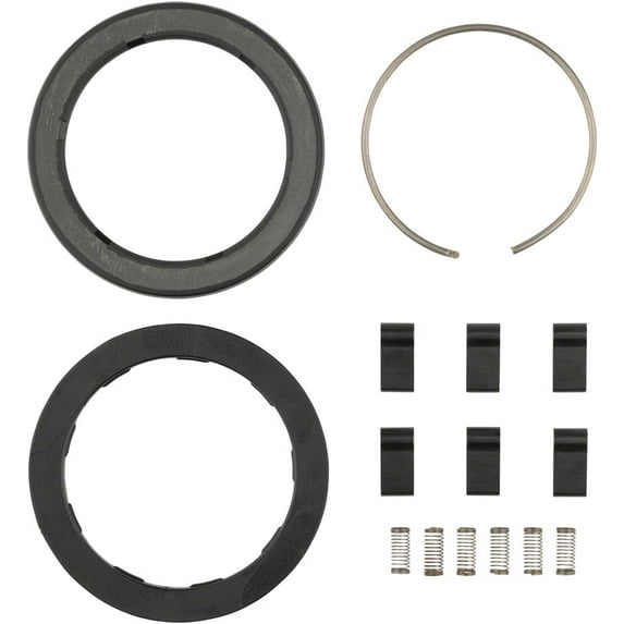 Zipp Spring and Pawl Set for ZR1, Set