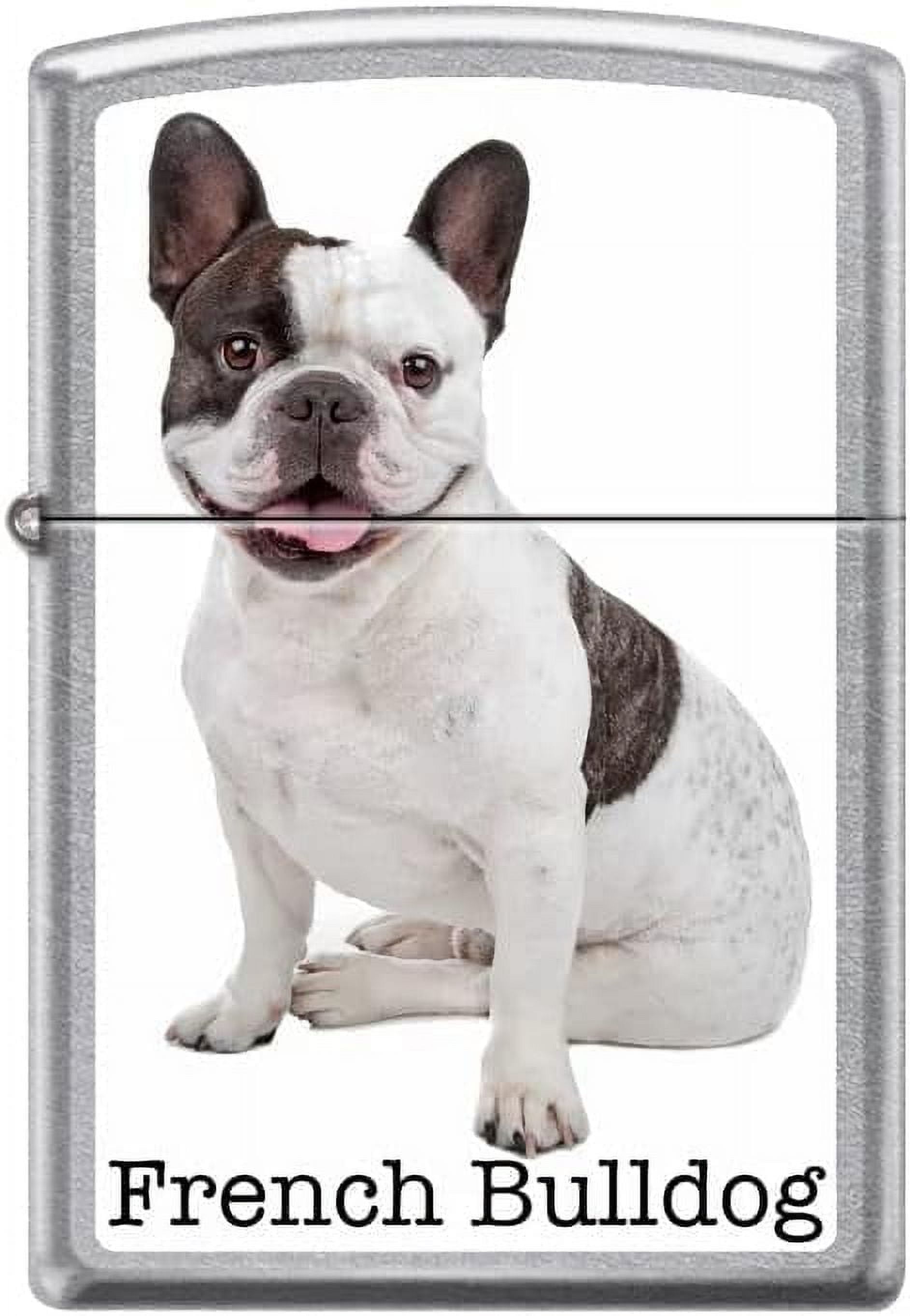 Zippo Lighter-French Bulldog Street Chrome Windproof Lighter #Z5383