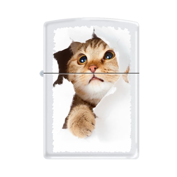 Zippo Lighter - Personalized Custom Message Engrave Catinsidehole Z5564