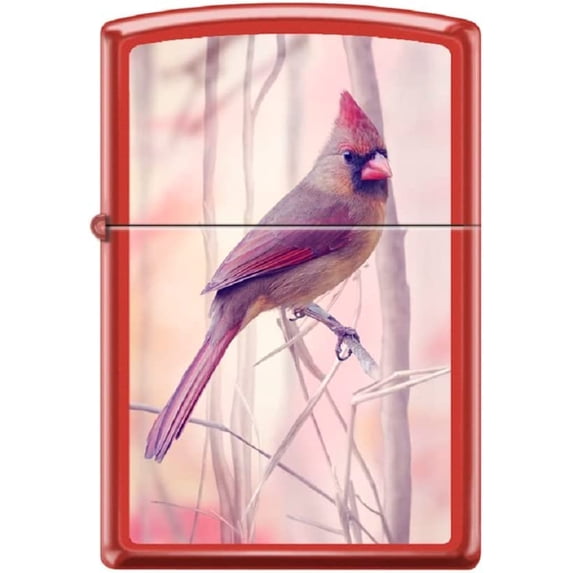 Zippo Lighter- Personalized Customize Message Engrave on Backside Cardinal Birds Songbird Perched Red Matte Windproof Lighter #Z5537
