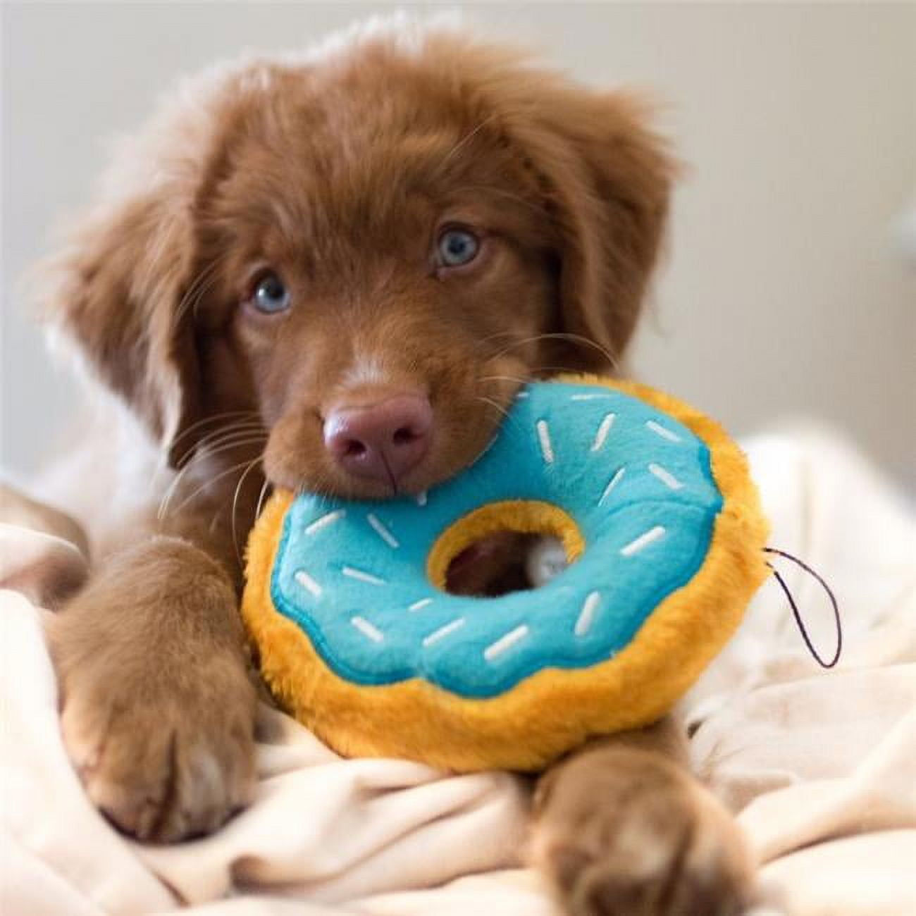 Paws donut sac hot sale