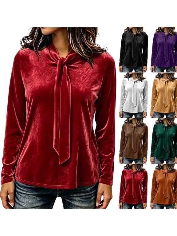 Fall Winter Women Blouses with Bow Tie Neck Long Sleeve Date Night Tie Front Elegant Tops