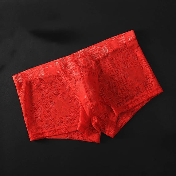 Zivyakyron Transparent Men Briefs Boxers Thin Lace Underwear for Men Solid Slim Undershorts