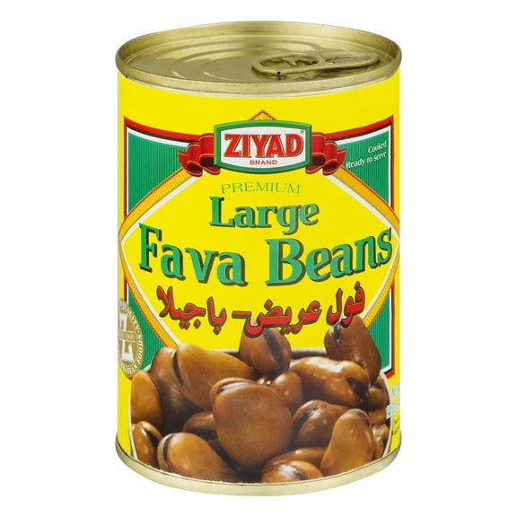 Ziyad Brothers Ziyad Fava Beans, 15 oz