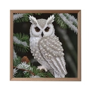 Zjdatm 5D Special Shape Diamond Art Kits Owl Crystal Rhinestones Diamond Painting for Beginners Adults DIY & Home Living Room Wall Decor