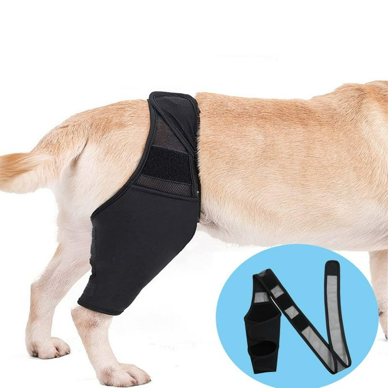 Zjrui Dog Knee Brace Dog Leg Brace for Torn acl Hind Leg Dog Hip Brace Adjustable Rear Leg Braces L