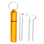 Zlezpi Dental Floss Tooth Care Tooth Cleaning 4Pcs Stainless Steel Tooth Hygiene Kit Tooth Tooth Scraper Probe Tweezers Tool