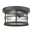 thumbnail image 1 of Zlite 555F-BK Exterior Additions 1 Light Outdoor in Black with Clear Seedy Shade, 1 of 2
