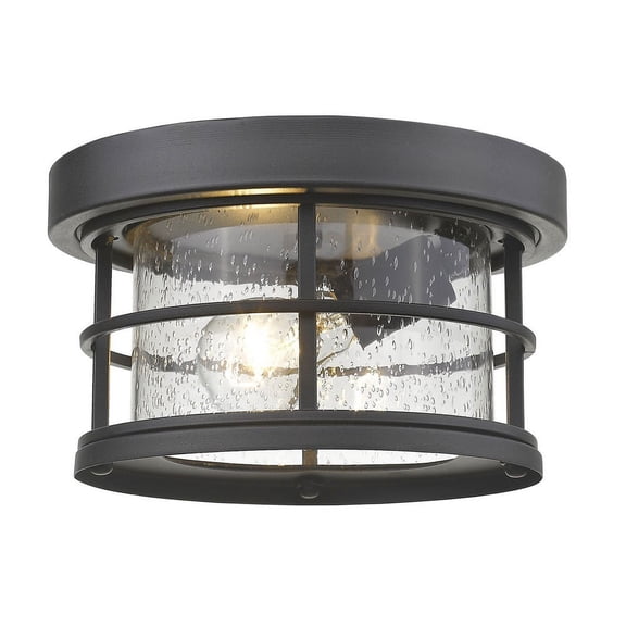 Zlite 555F-BK Exterior Additions 1 Light Outdoor in Black with Clear Seedy Shade