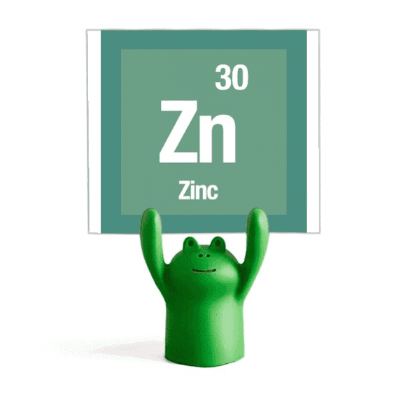 Zn Zinc Checal Element Science Memo Holder Cartoon Animal Frog Stand Decoration