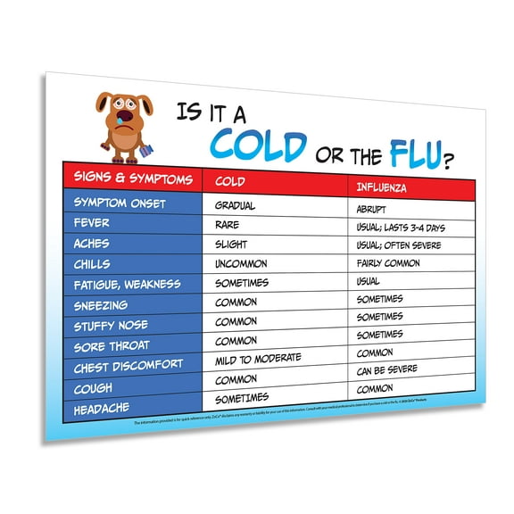 ZoCo: Cold versus Flu Poster - Laminated, 12"x18"