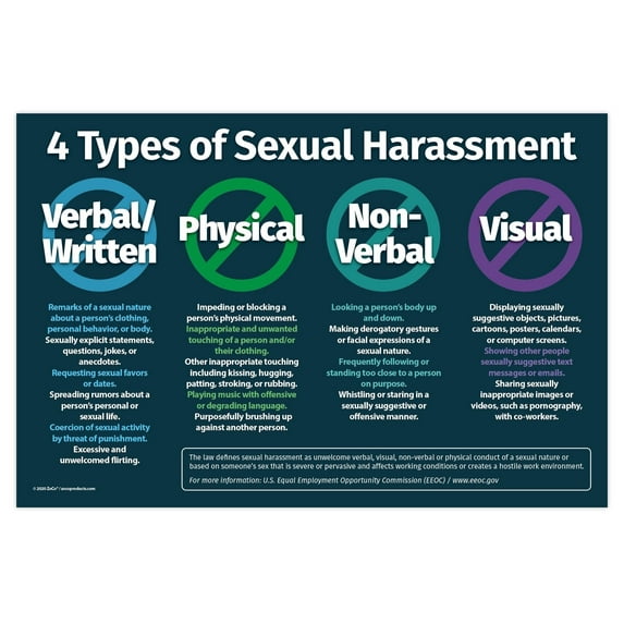 ZoCo: Four Types of Sexual Harassment Workplace Poster - Laminated, 12 x 18 in.