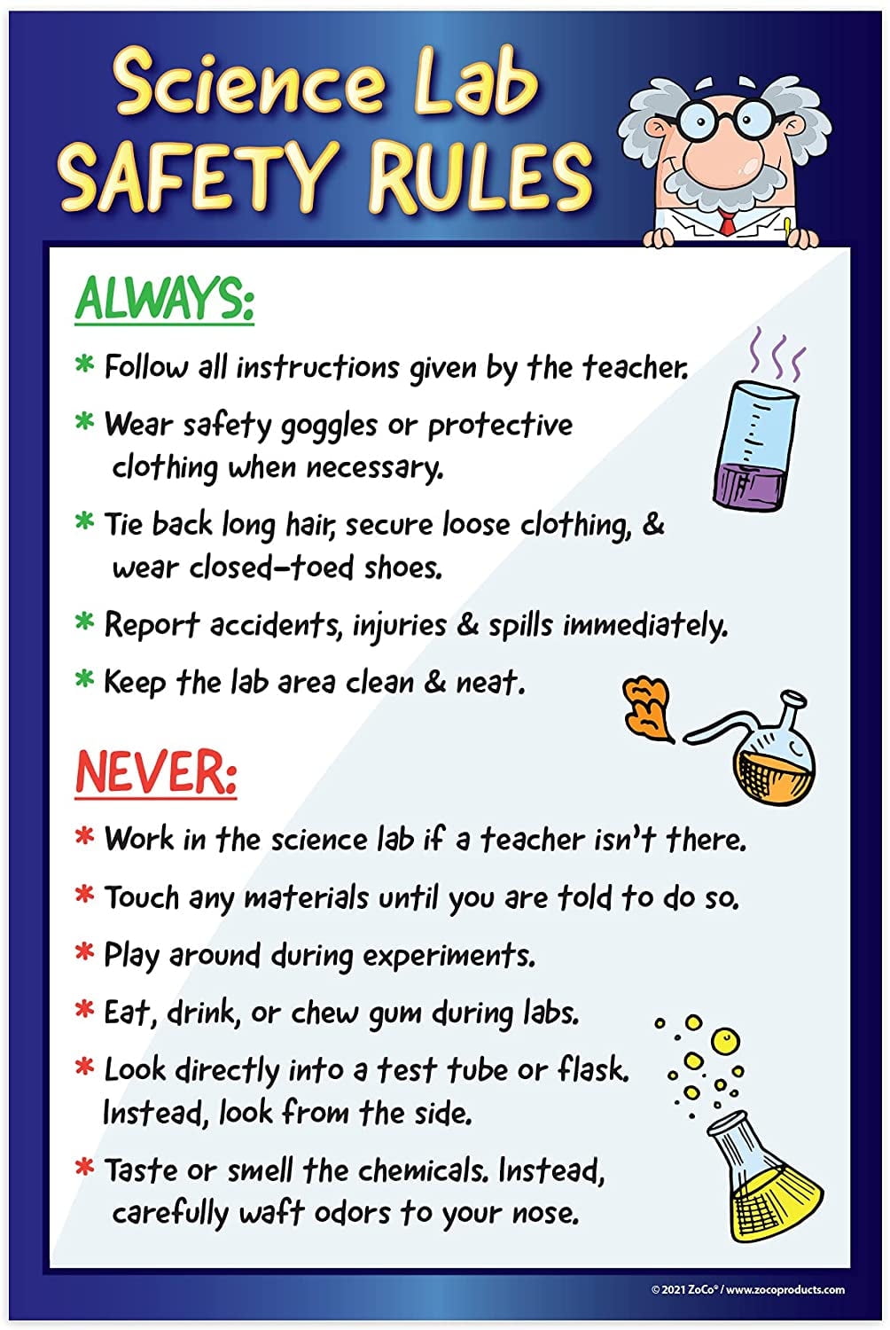 ZoCo: Science Lab Safety Rules Poster - 12"x18" - Laminated - Walmart.com