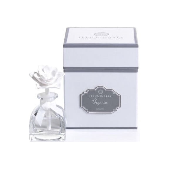 Zodax Illuminaria Mini Porcelain Room Diffuser