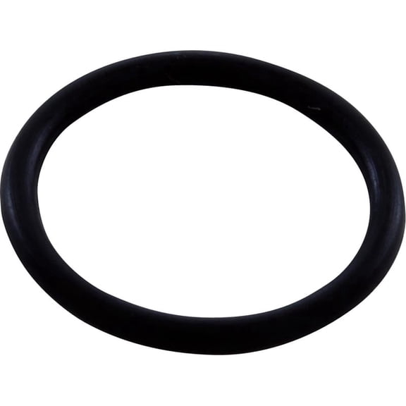 Zodiac 48-141 Feed Hose Connector O-Ring Replacement