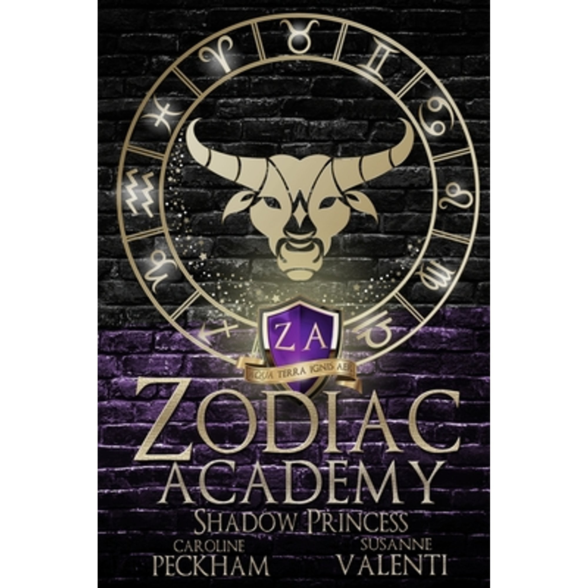 Pre-Owned Zodiac Academy 4: Shadow Princess 9781914425066 Used