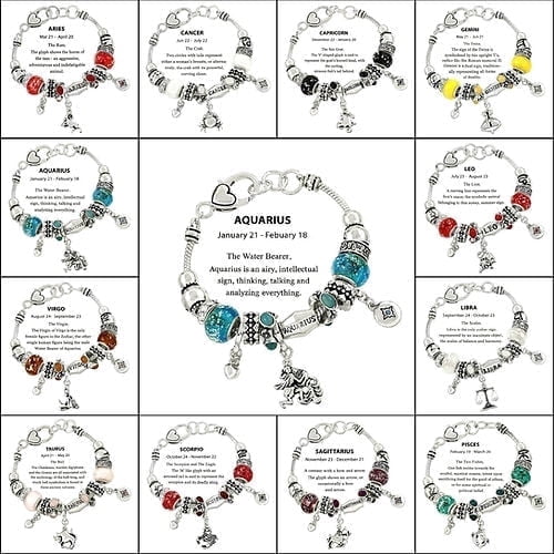 Freebird Jewelry Box Zodiac Charm Bead Bracelet - Silver Aquarius