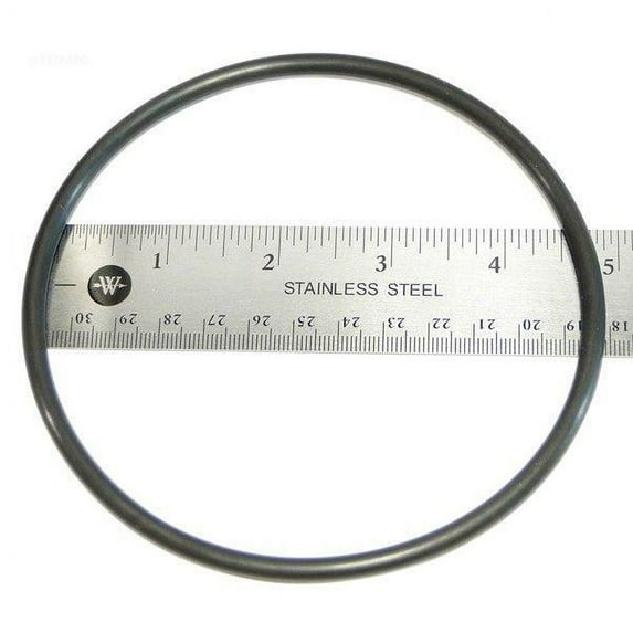 Zodiac Chlorine O-Ring W13068