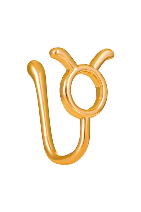 Zodiac Constellation Nose Non Piercing Nose Ring Nose Stud Jewelry For Girls Nose Chain Party Wear Face Nose Piercing in The Dark Nose Ring Small Nose Ring Double Nose Ring Nose 18 Gauge Nose Rings