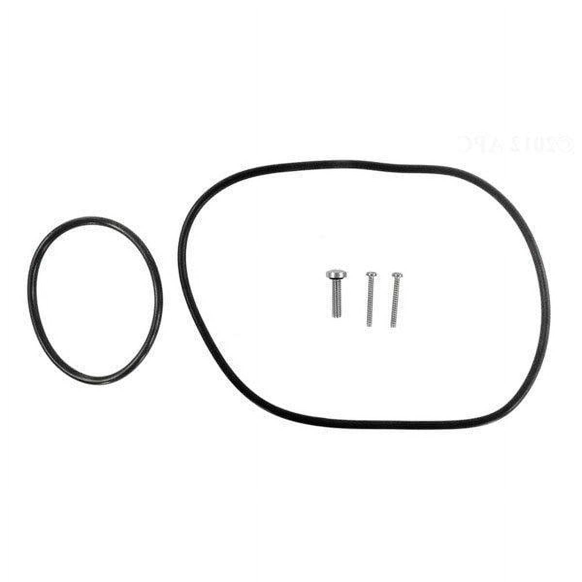 Zodiac Diffuser ORing and Hardware R0480400