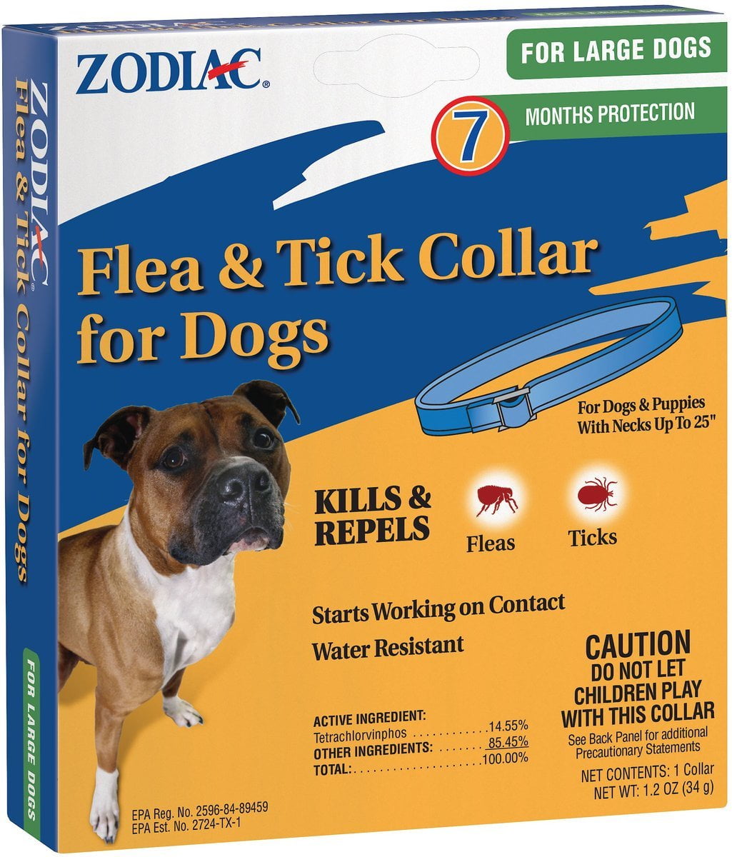 Flea Treatment For Kittens Zodiac Flea & Tick Collar For Cats 2 Pack 7 Month Protection R 498224 Flea Treatment For Kittens Zodiac Flea & Tick Collar For Cats 2 Pack 7 Month Protection R 498224
