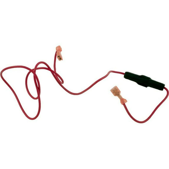 10480000+ Zodiac Laars Inline Fuse Assembly