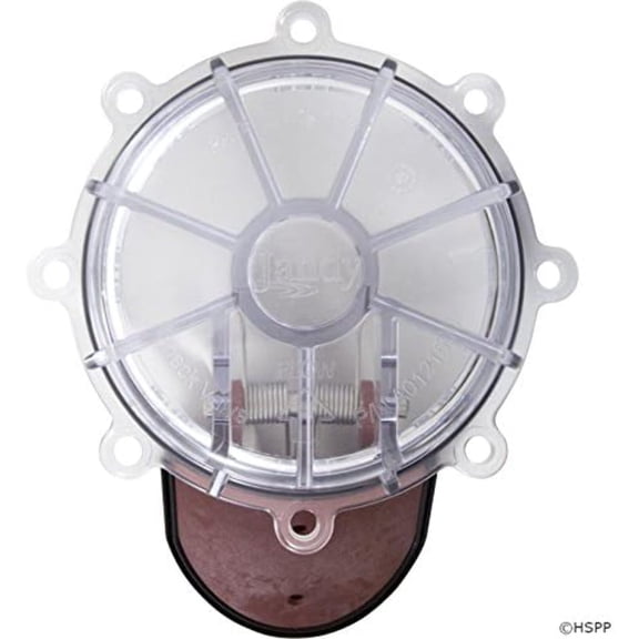 Zodiac Cover with Flapper and O-Ring, Large Jandy Check Valve R0466000