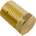 thumbnail image 1 of Header Drain Plug, Zodiac Jandy LRZE/LRZM/LXi, Bronze, 1 of 3