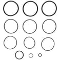 thumbnail image 1 of Zodiac R0358000 O-Ring Replacement Kit for Select Zodiac D.E. and Cartridge Pool and Spa Filters, 1 of 2