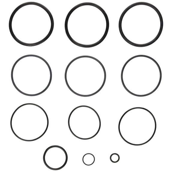 Zodiac R0358000 O-Ring Replacement Kit for Select Zodiac D.E. and Cartridge Pool and Spa Filters