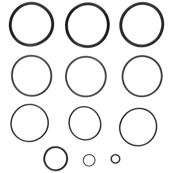 Zodiac R0358000 O-Ring Replacement Kit for Select Zodiac D.E. and Cartridge Pool and Spa Filters