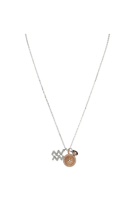 Zodiac Pendant - Aquarius - Gray - Rhodium plating - 5349213