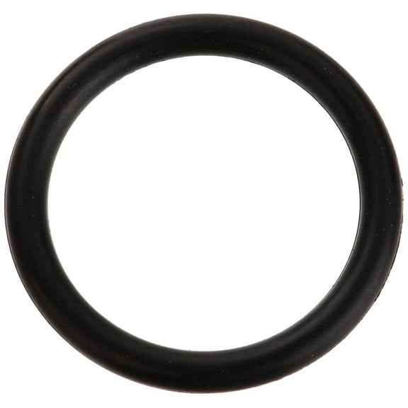 Zodiac R0487100 2-116 Valve Shaft O-Ring Replacement for Select Zodiac Jandy Diverter and Valves