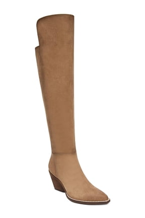 Womens Ronson Pointed Toe Tall Over-The-Knee Boots