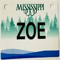 thumbnail image 1 of Zoe Mini Bike Plate Add On Accessory, 1 of 1