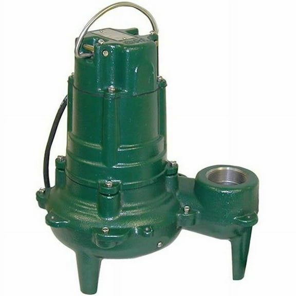 Zoeller 270-0002 1 HP Cast Iron Sewage Pump with 2 in. Non-Automatic