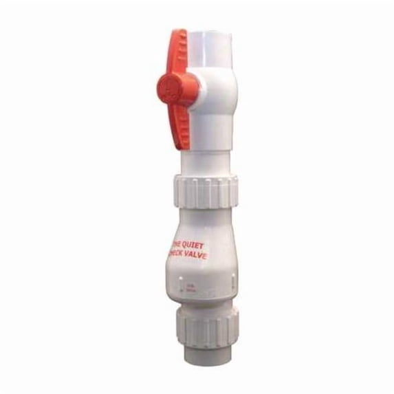 Zoeller Silent Combo Swing Check Valve 2" 30-0236