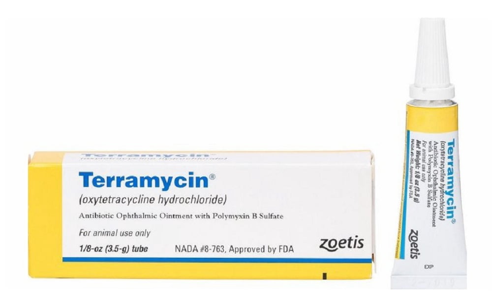 Zoetis 3851 Terramycin Antibiotic Ophthalmic Ointment for Dogs in 3.5 g
