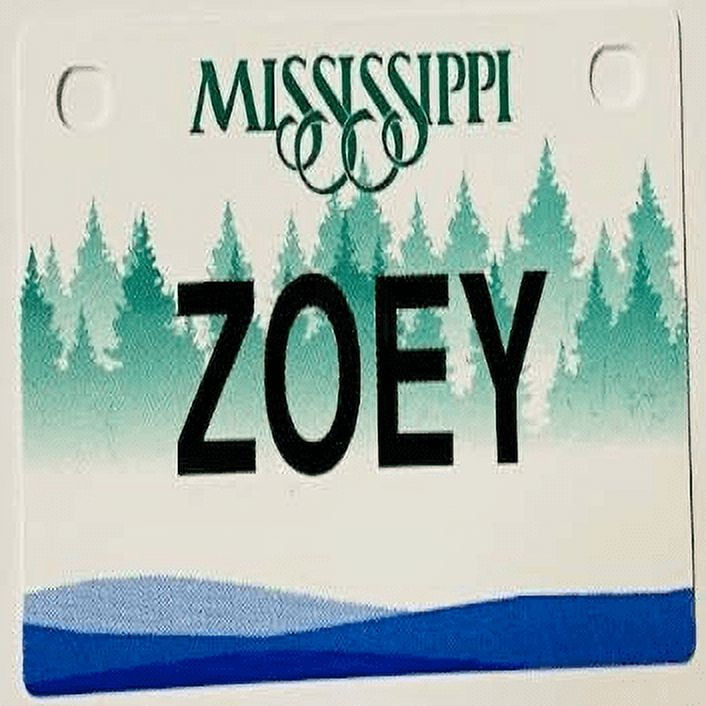 Zoey Mini Bike Plate Add On Accessory