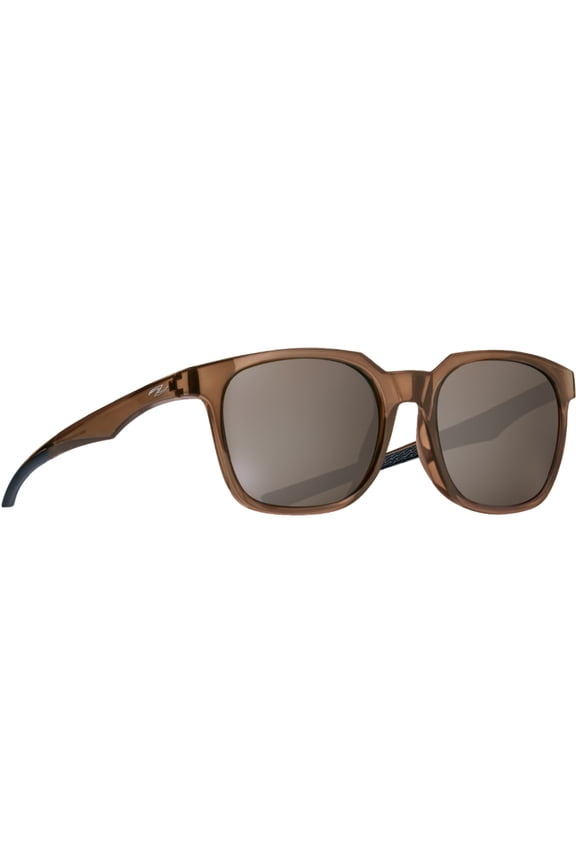 Box Sunglasses (Brown/Silver)