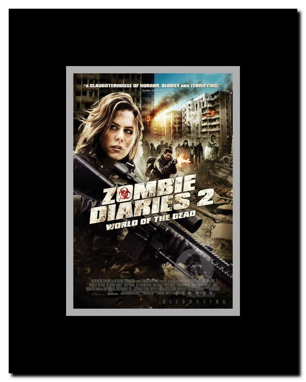 Zombie Diaries 2 Framed Movie Poster