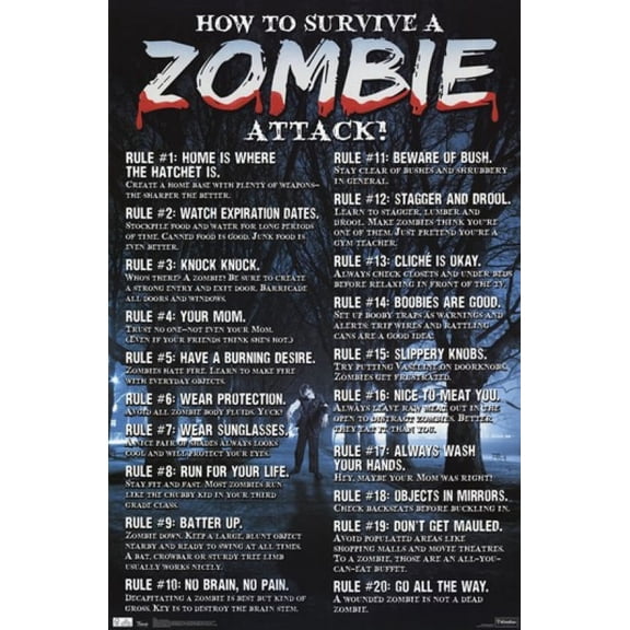 Zombies - How to Survive Laminated Poster Print (24 x 36)