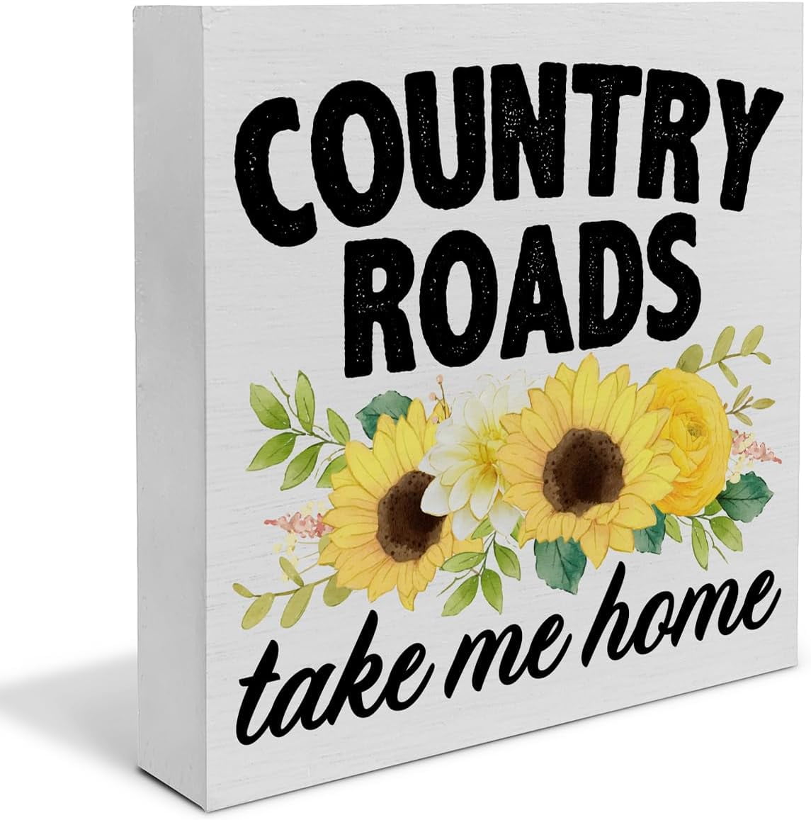 Panneau Mural Métal Country Roads Take Me Home - Inscription Cycliste, Déco WV, USA