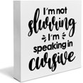 thumbnail image 1 of Zomyto 7x7 In Funny Kitchen Wooden Box Sign I Am Not Slurring Desk Decorative, 1 of 7