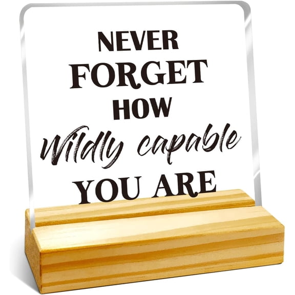 Zomyto Inspirational Acrylic Desk Signs for Office,Acrylic Motivational Sign,Positive Energy Healing Gifts,Never Forget How Wildly Capable You are Definition Acrylic Plaque with Stand