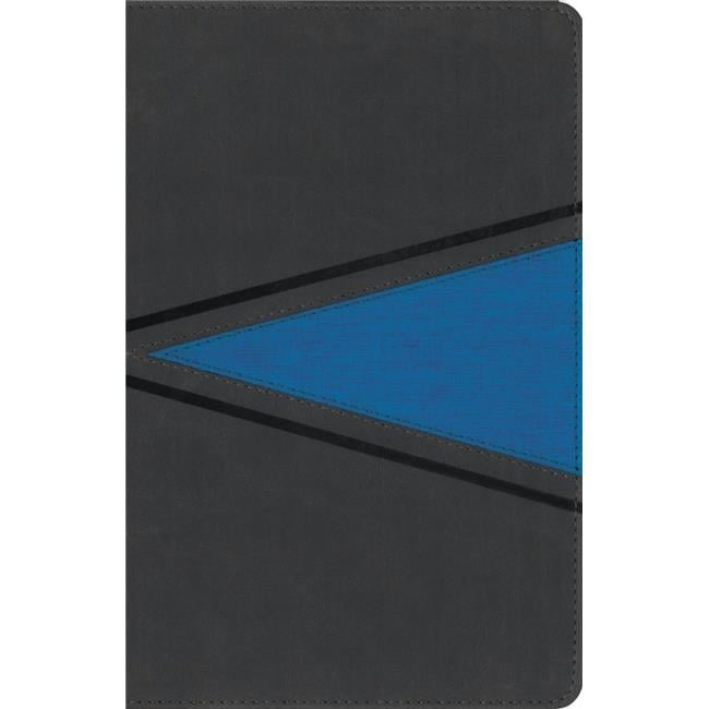 ZonderKidz 166430 NIV Boys Bible, Gray & Blue Leathersoft - Jul 2020 ...