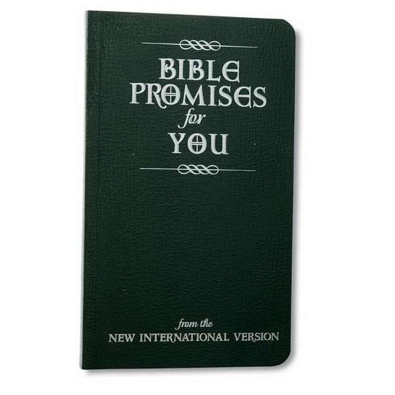 Bible Promises For You (From The NIV)