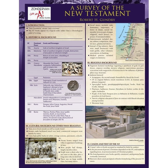 Zondervan Get an A! Study Guides: A Survey of the New Testament Laminated Sheet (Other)