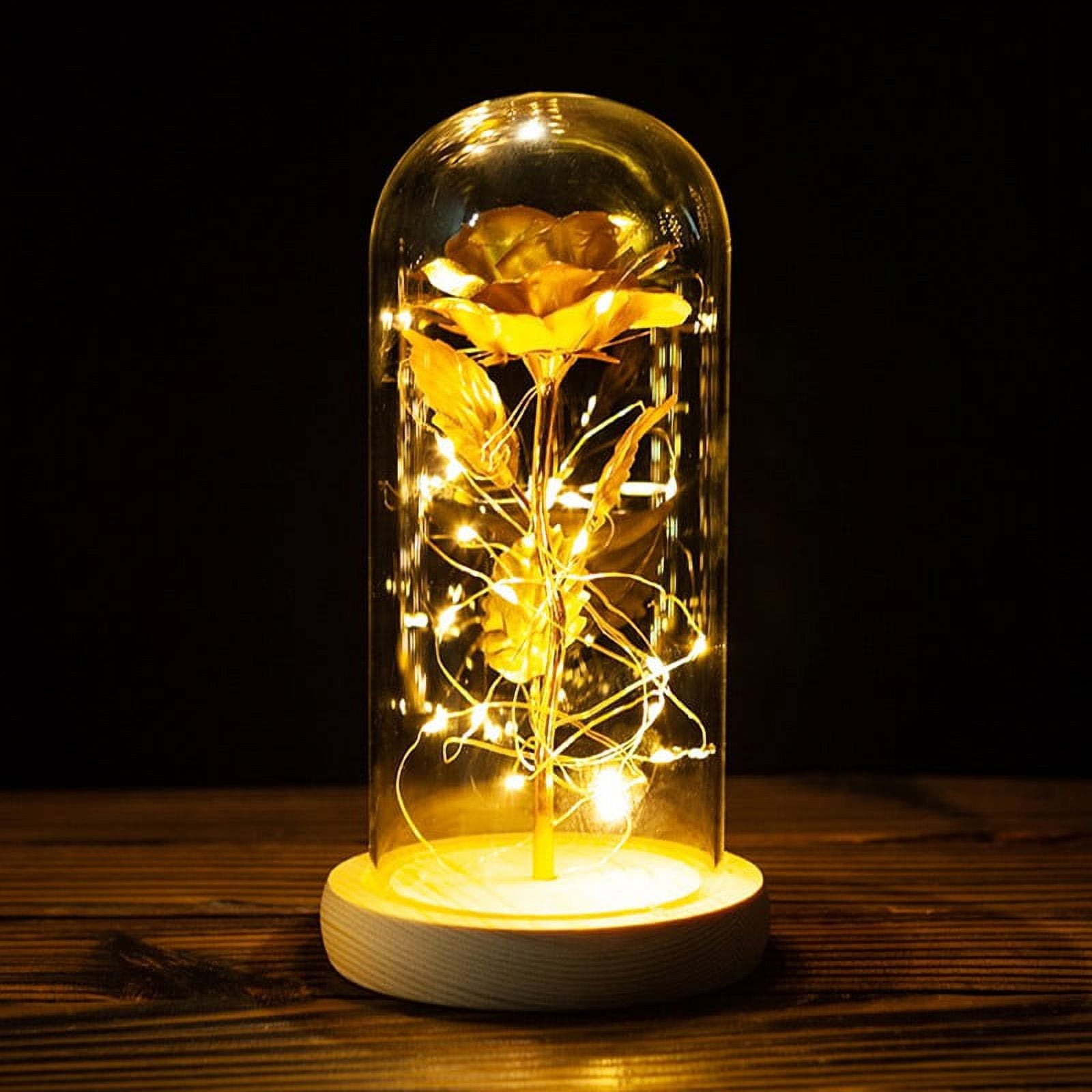Zonghan LED Rose Flower In Glass Dome With Lights Infinity Crystal Rose ...