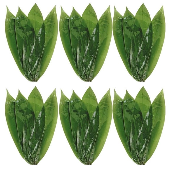 Dark Green Bamboo Leaves for Kitchen 50pcs Perfect for Sushi Decor Mats and Food Arrangement